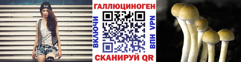 Галлюциногенные грибы прущие грибы  Аша 